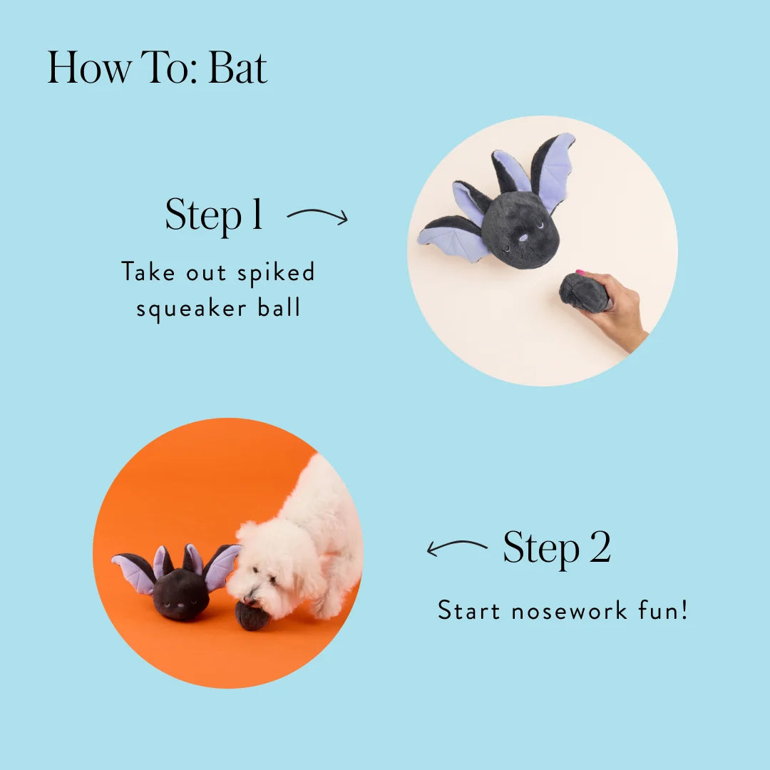 The Foggy Dog - Dog Toy Bat 2-In-1 Bounce