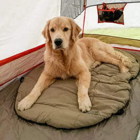 Carolina Pet Company - Bed 'n Bag On The GO Travel Dog Bed