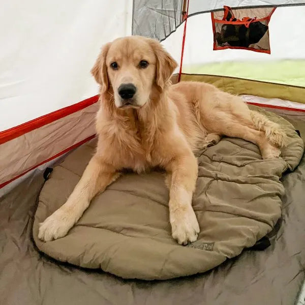 Carolina Pet Company - Bed 'n Bag On The GO Travel Dog Bed