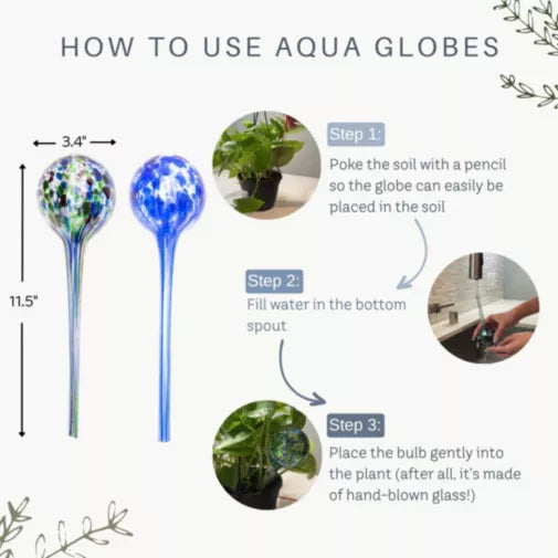 123 Creations - Globes Self Watering Indoor/Outdoor Large Glass