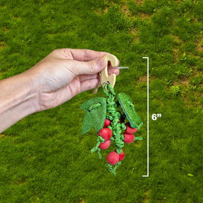Exotic Nutrition - Berry Nibbler Hanging Chew Toy - Southern Agriculture 