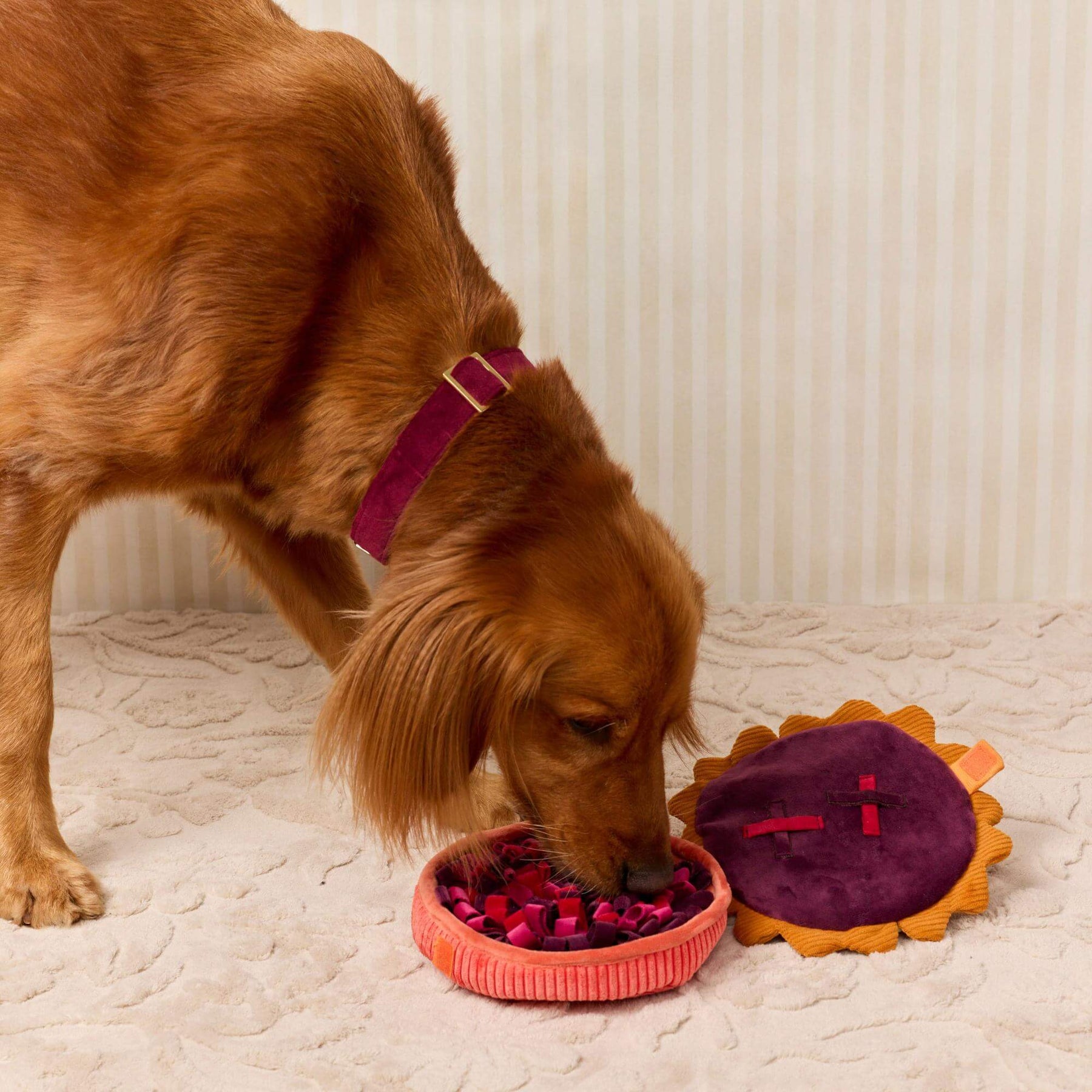 The Foggy Dog - Dog Toy Berry Pie Interactive