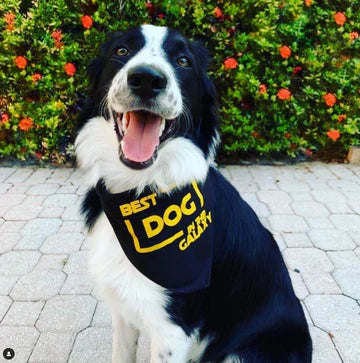 FunDog Bandanas - Dog Bandana Best Dog in the Galaxy