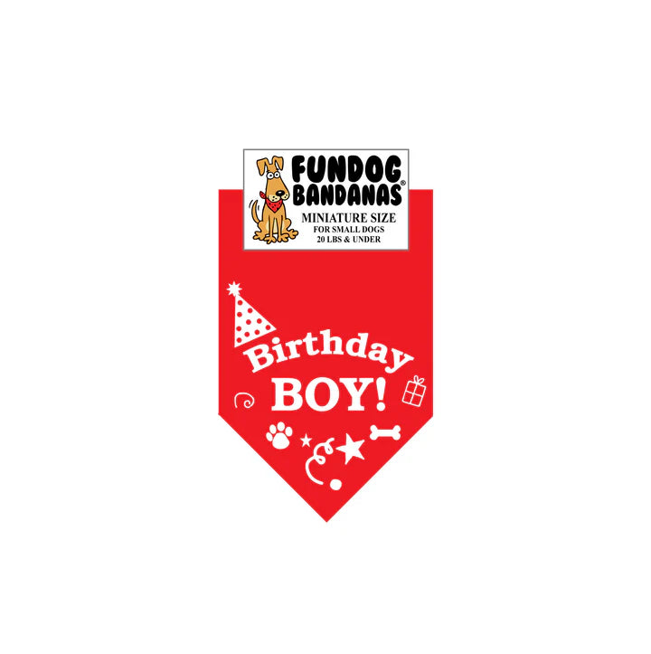FunDog Bandanas - Dog Bandana Birthday Boy