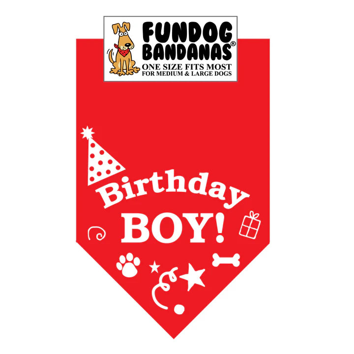 FunDog Bandanas - Dog Bandana Birthday Boy