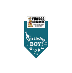 FunDog Bandanas - Dog Bandana Birthday Boy