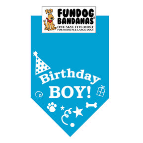FunDog Bandanas - Dog Bandana Birthday Boy