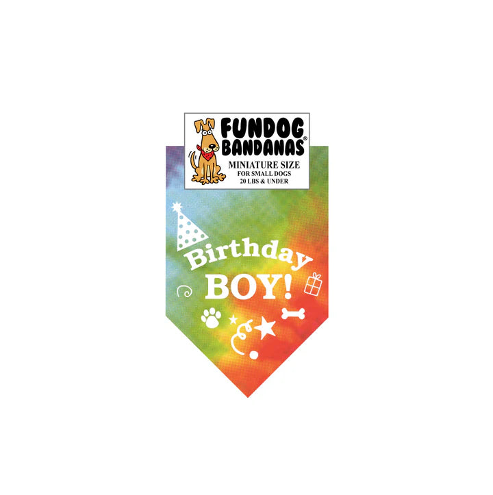 FunDog Bandanas - Dog Bandana Birthday Boy