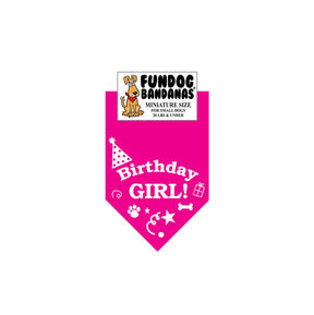 FunDog Bandanas - Dog Bandana Birthday Girl