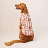 The Foggy Dog - Dog Jacket Reversible Blockprint Floral