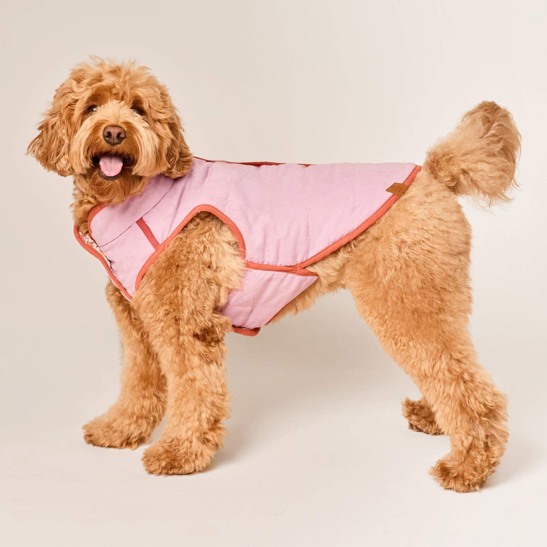 The Foggy Dog - Dog Jacket Reversible Blockprint Floral