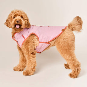 The Foggy Dog - Dog Jacket Reversible Blockprint Floral