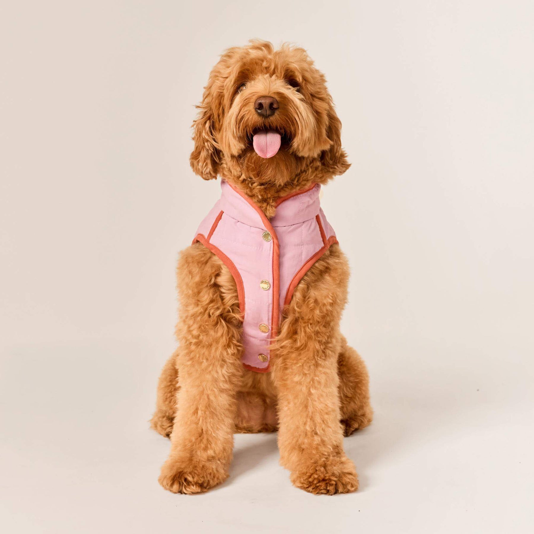 The Foggy Dog - Dog Jacket Reversible Blockprint Floral