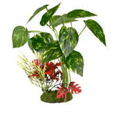 Blue Ribbon - Pothos Variegated Cluster Ornament