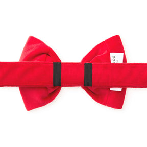 The Foggy Dog - Dog Bow Tie Cranberry Velvet