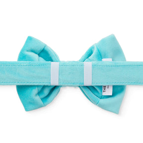 The Foggy Dog - Dog Bow Tie Robin's Egg Velvet