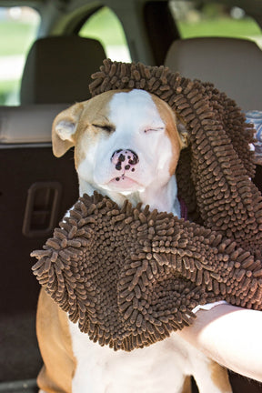 Soggy Doggy Doormat - Shammy Super