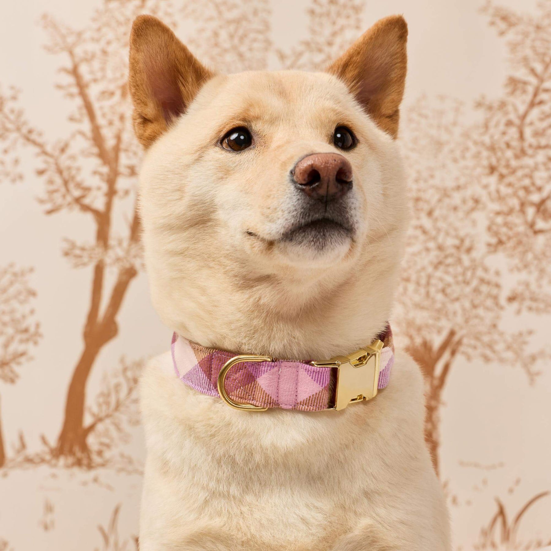 The Foggy Dog - Dog Collar Bramble Flannel
