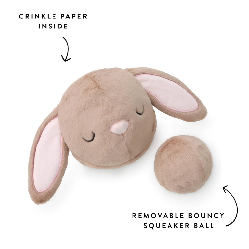 Foggy Dog - Dog Toy Bounce Bunny 2-In-1
