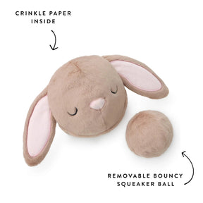 Foggy Dog - Dog Toy Bounce Bunny 2-In-1
