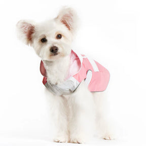 Dogo Pet - Raincoat Bunny