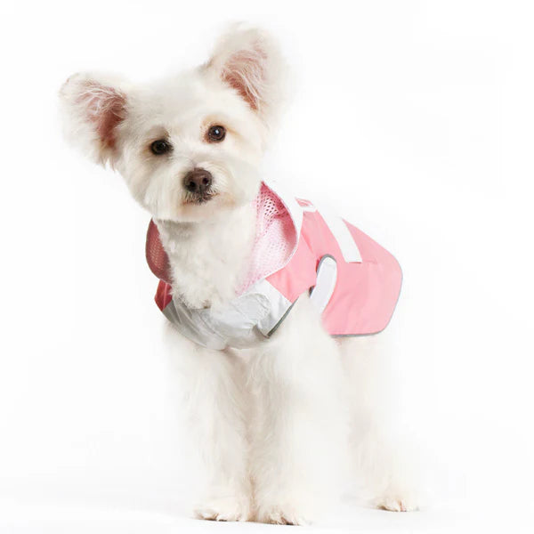 Dogo Pet - Raincoat Bunny