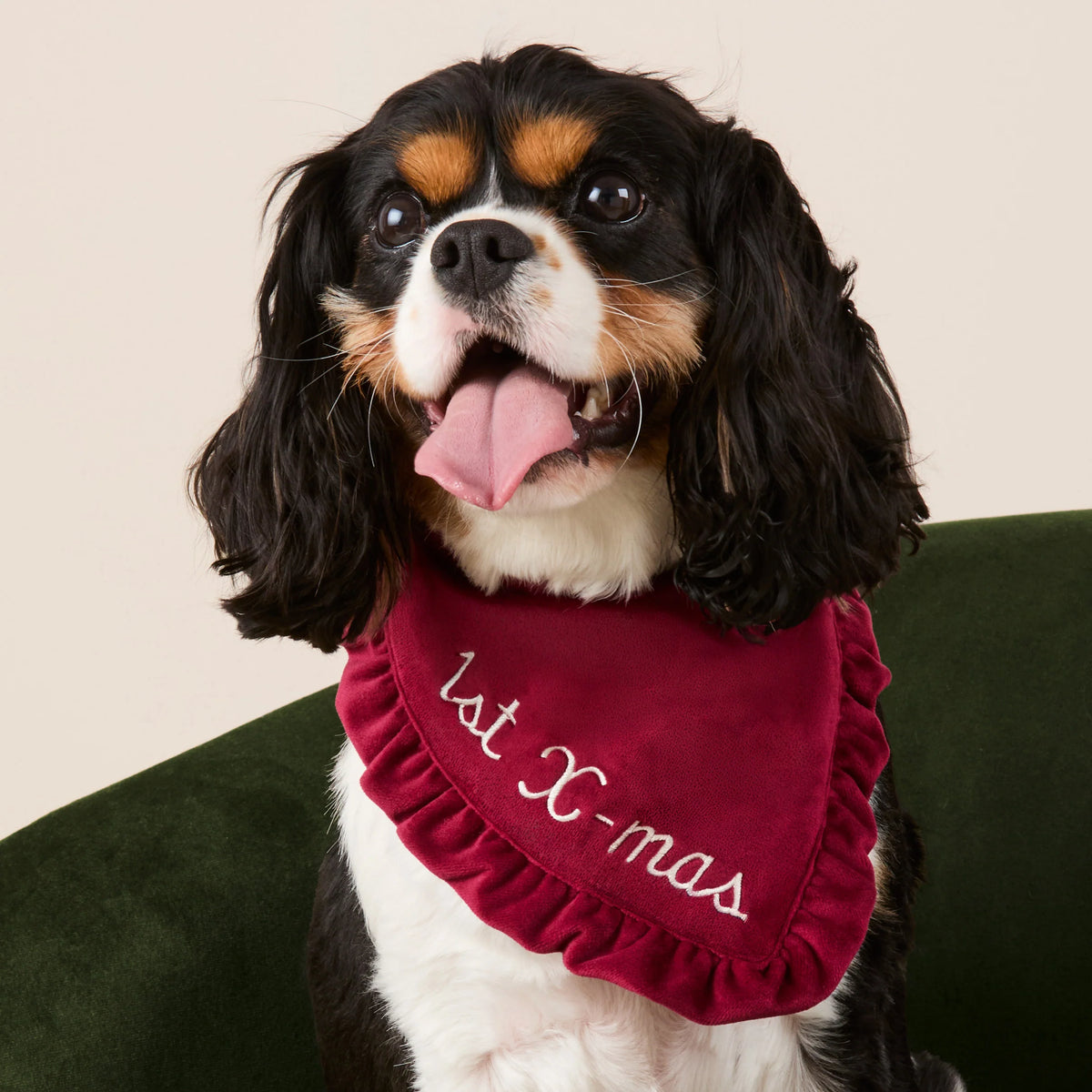The Foggy Dog - Bandana Burgundy Velvet