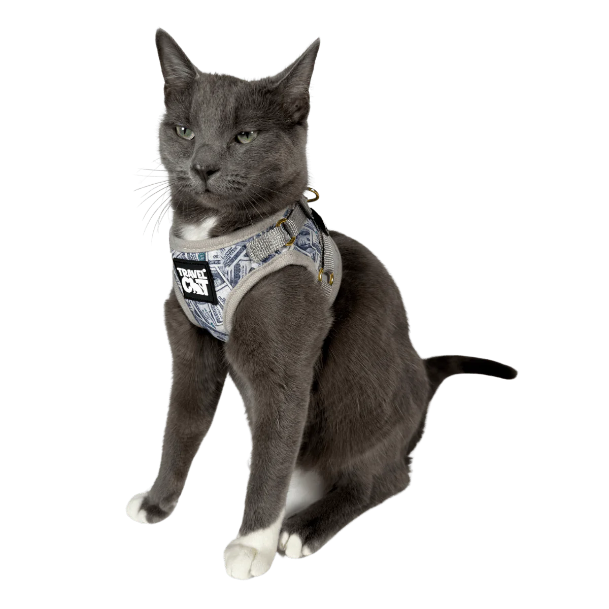 Travel Cat - Harness & Leash Set - "Cash Cat"
