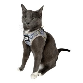 Travel Cat - Harness & Leash Set - "Cash Cat"