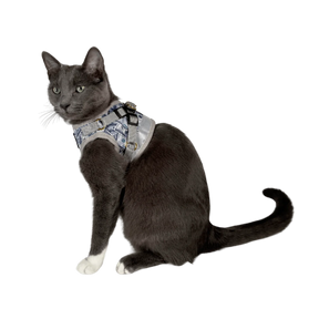 Travel Cat - Harness & Leash Set - "Cash Cat"