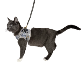 Travel Cat - Harness & Leash Set - "Cash Cat"