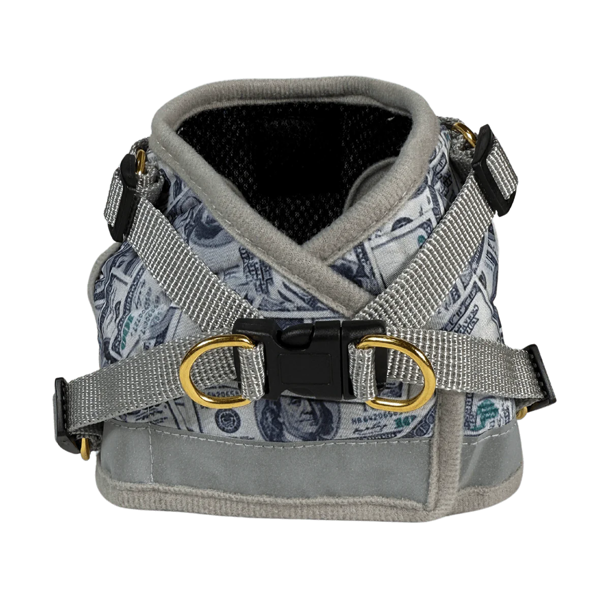 Travel Cat - Harness & Leash Set - "Cash Cat"