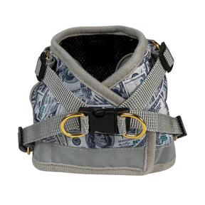 Travel Cat - Harness & Leash Set - "Cash Cat"