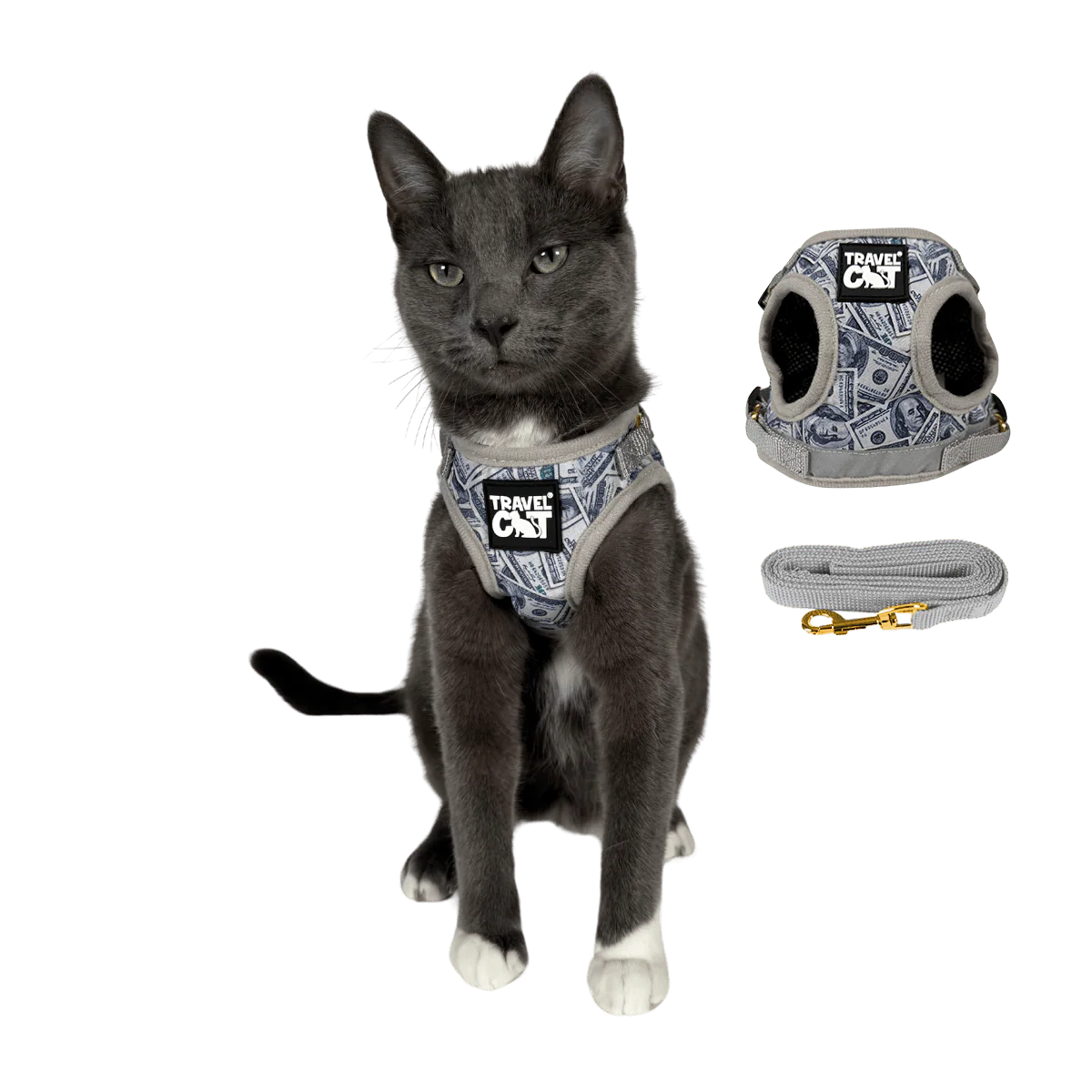 Travel Cat - Harness & Leash Set - "Cash Cat"