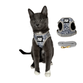 Travel Cat - Harness & Leash Set - "Cash Cat"