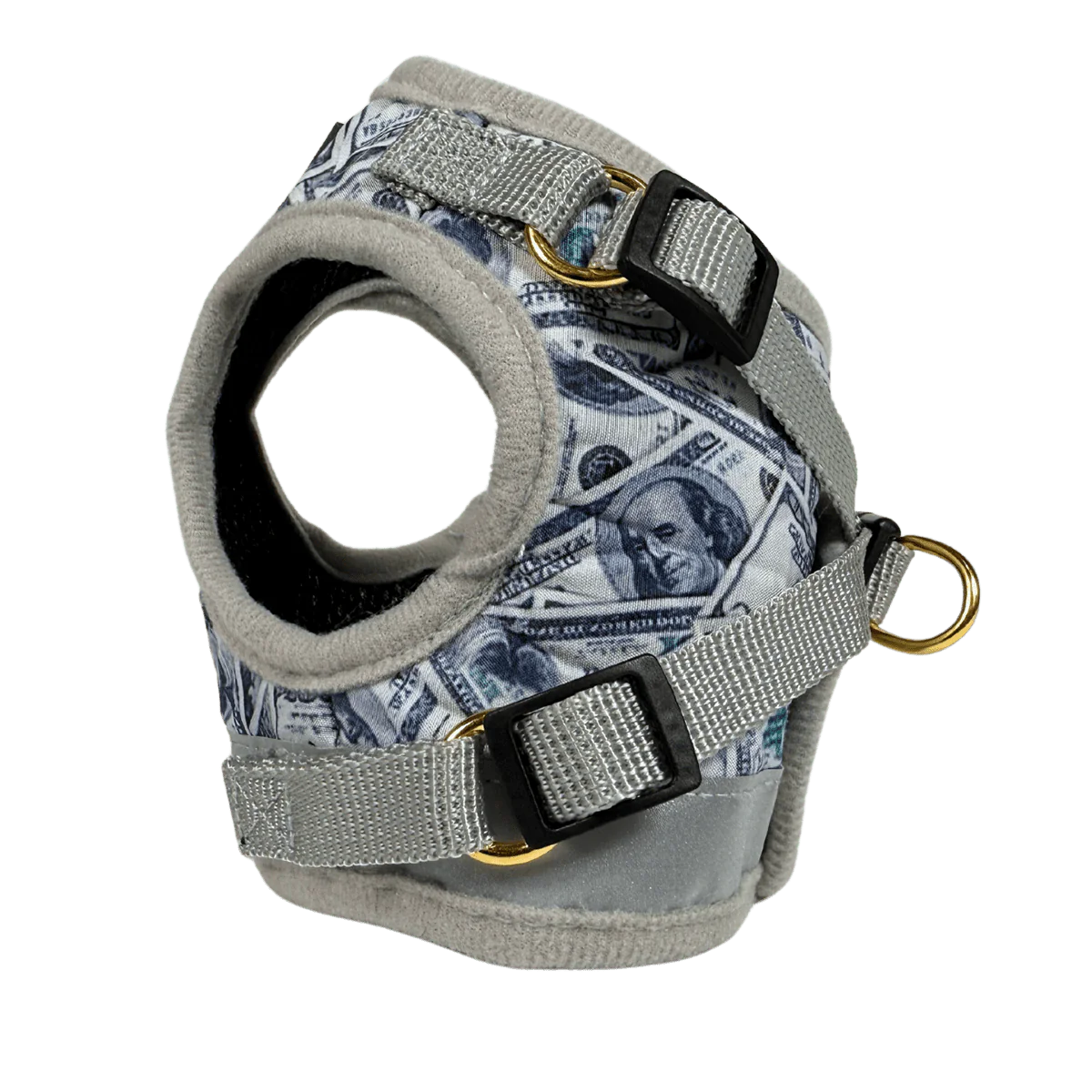 Travel Cat - Harness & Leash Set - "Cash Cat"