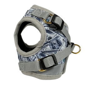 Travel Cat - Harness & Leash Set - "Cash Cat"