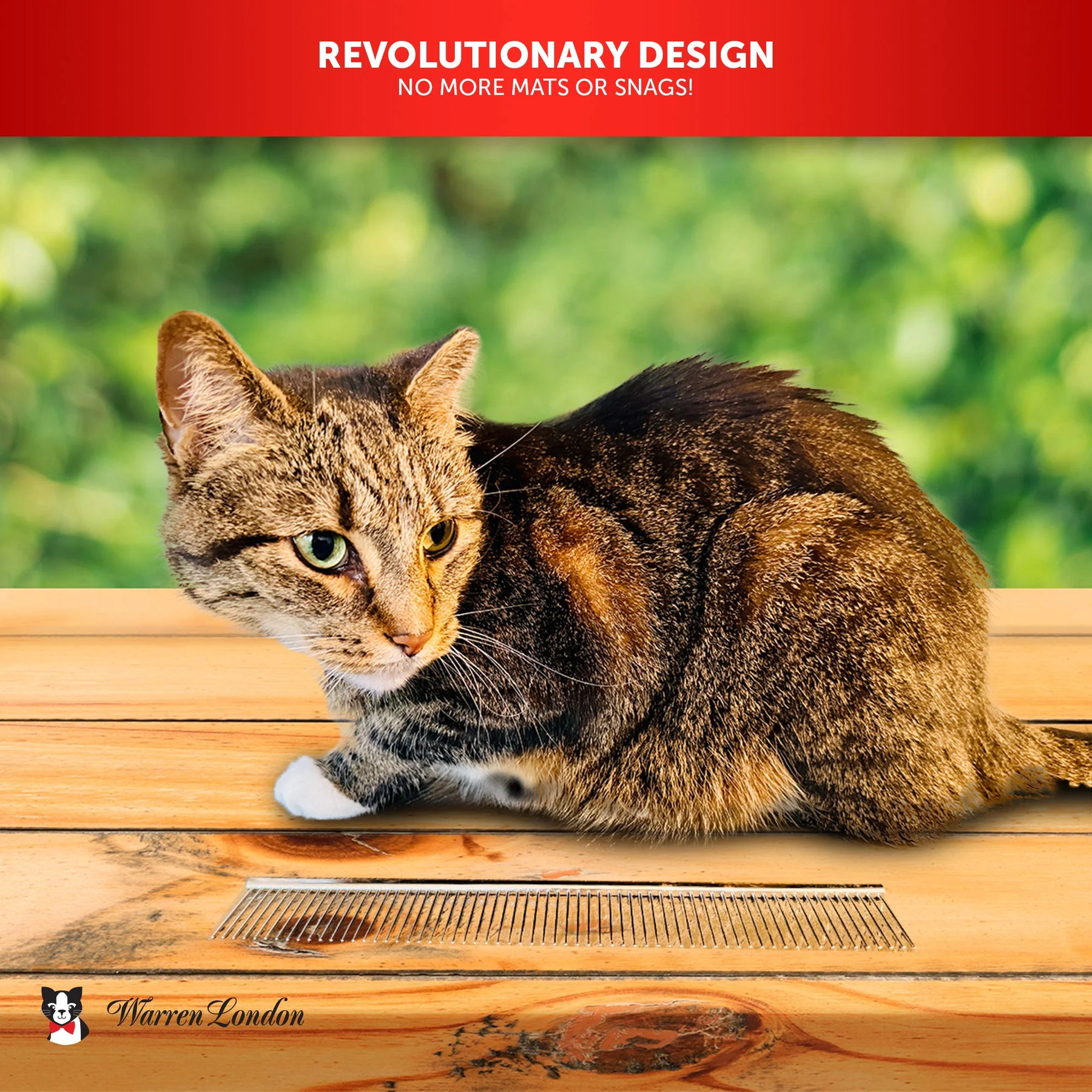 Warren London - Cat DeMatter Pro Max