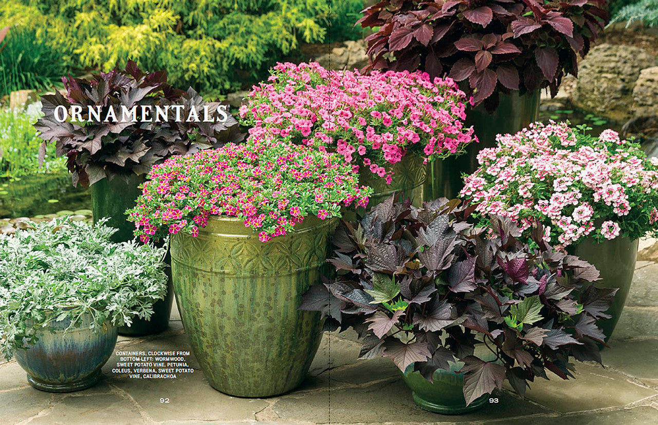 Old Farmer's Almanac - Container Gardener's Handbook