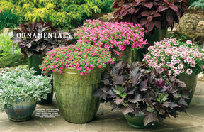 Old Farmer's Almanac - Container Gardener's Handbook