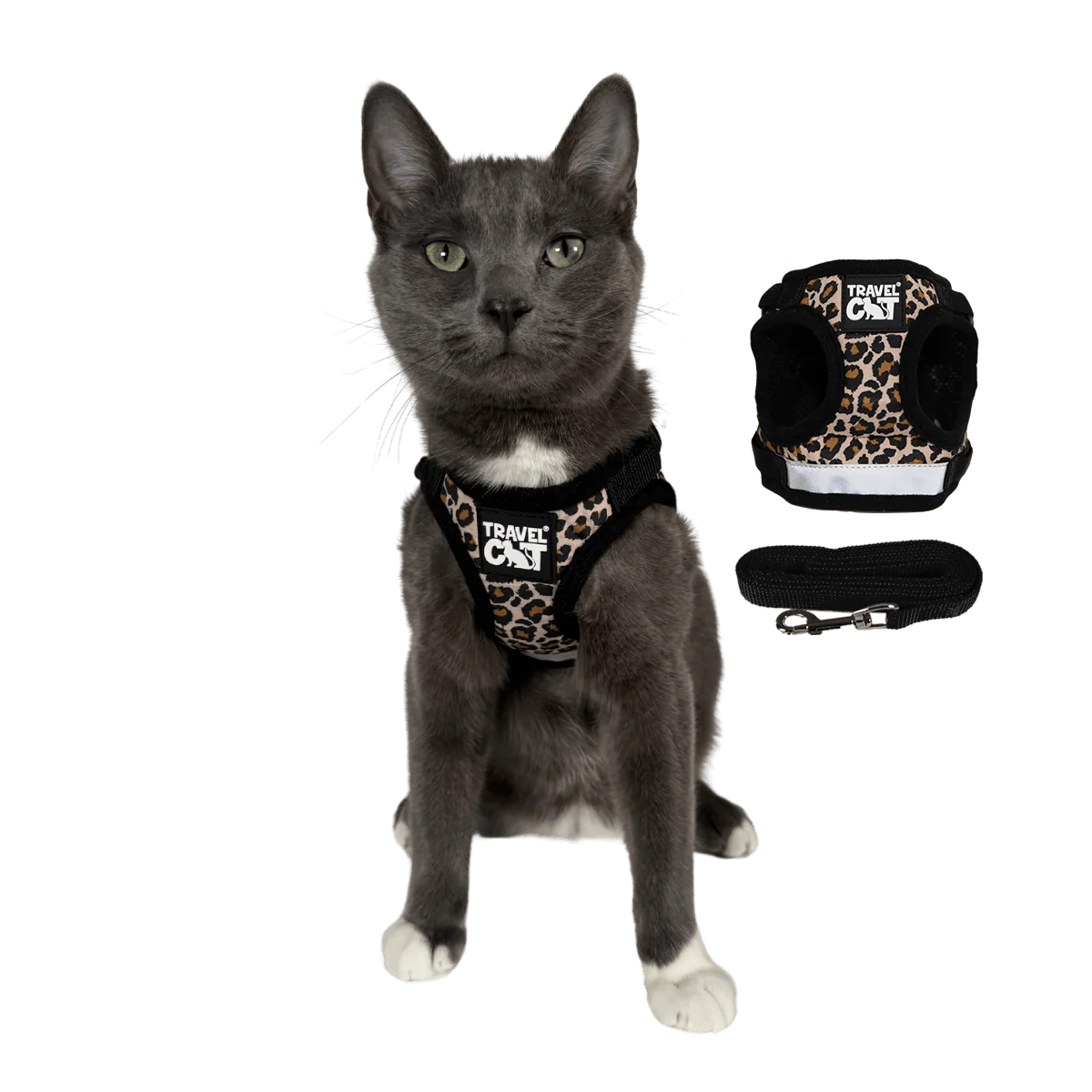 Travel Cat - Harness & Leash Set - "The Cheetah Print" - Southern Agriculture 