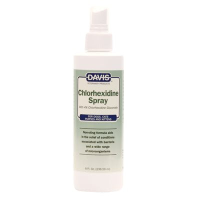 Chlorhexidine Spray 4% for Dog, Cat, Kitten & Puppy - Southern Agriculture 