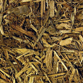 Zoo Med - Forest Floor Bedding