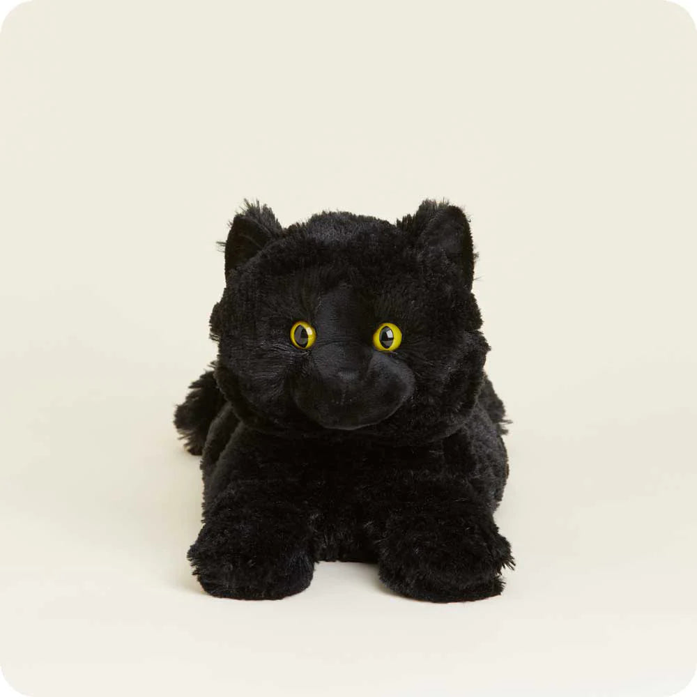Warmies Black Cat - Southern Agriculture 