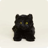 Warmies Black Cat - Southern Agriculture 