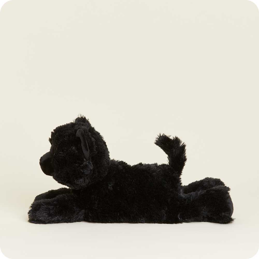 Warmies Black Cat - Southern Agriculture 