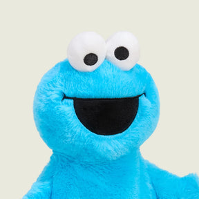 Warmies Cookie Monster