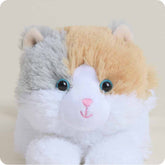 Warmies Cat Calico Junior - Southern Agriculture 