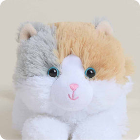 Warmies Cat Calico Junior - Southern Agriculture 