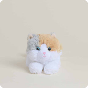 Warmies Cat Calico Junior - Southern Agriculture 